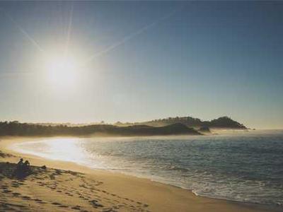 Your cat’s purr says more than you think