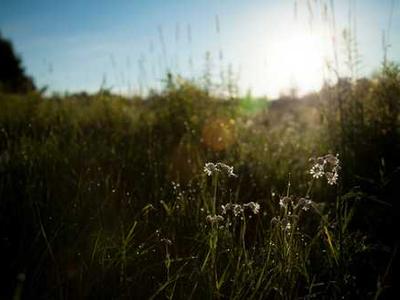 Congressional Candidate Kat Abughazaleh on Parable of the Sower, and Her Love of Sci-Fi