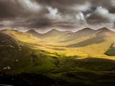 Scientists discover how life experiences rewrite the immune system