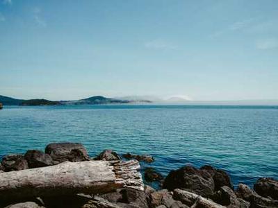 The End of the World Drives Us Into One Another’s Arms