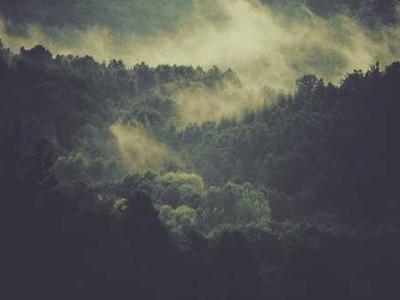 CBP Signs Clearview AI Deal to Use Face Recognition for ‘Tactical Targeting’