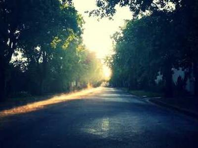 Americans Are Increasingly Convinced That Aliens Have Visited Earth