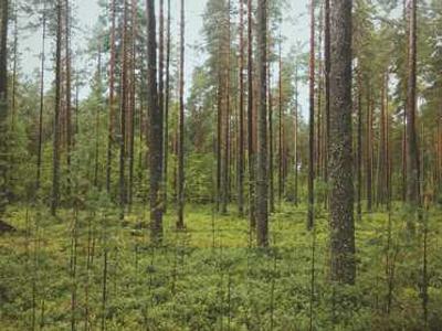 From Queer-Baiting to Neurodivergence: ‘Heated Rivalry’ Author Tackles Fan Theories and Controversy