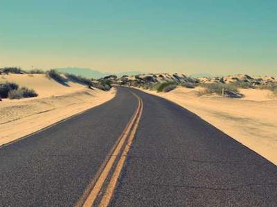 Pumas are back in Patagonia and Penguins are paying the price