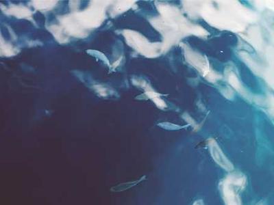 Sources: recently the DHS has sent hundreds of administrative subpoenas, which do not need a judge's approval, to tech firms to identify people critical of ICE (New York Times)