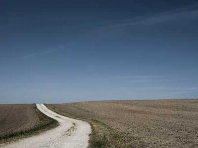 Automated Holiday Party Ideas (2025): Ninja, HP Sprocket, Cricut