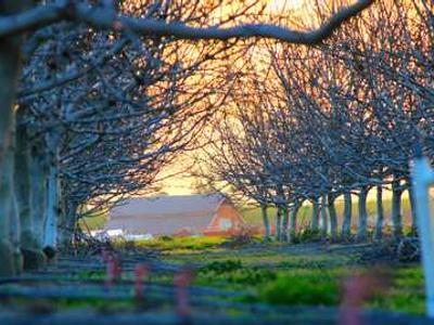 An Archive of Associations: When My Father Bought Foucault’s Old Car