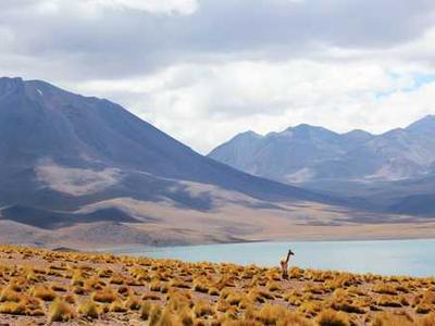 Logitech Promo Codes and Deals: Up to $100 Off