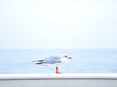 Returning stolen artifacts becomes a thrilling heist in Relooted