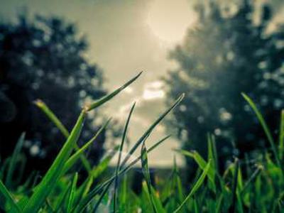 Letter From Minnesota: Thirteen Ways of Looking at the Frontier, From an Immigrant in Minneapolis