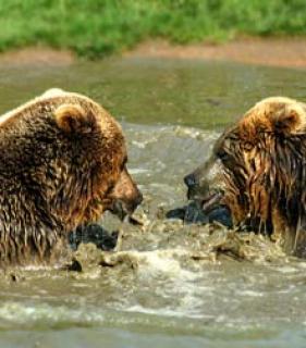 Christopher Rodriguez