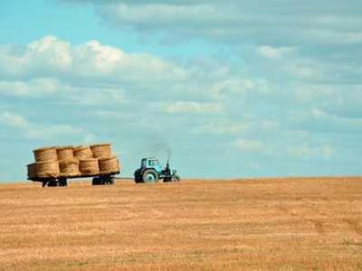 Little v. Llano County Legalized Library Censorship. What Exactly Does This Mean?: Book Censorship News, February 13, 2026