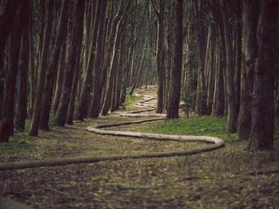 Scientists discover protein that rejuvenates aging brain cells