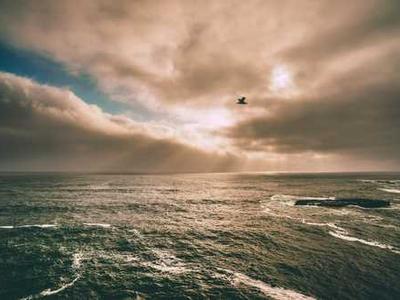 Introducing a New Chapter for ‘Uncanny Valley’