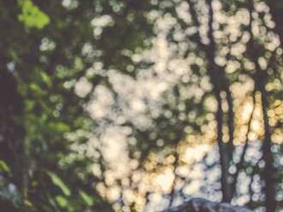 Sources: recently the DHS has sent hundreds of administrative subpoenas, which do not need a judge's approval, to tech firms to identify people critical of ICE (New York Times)