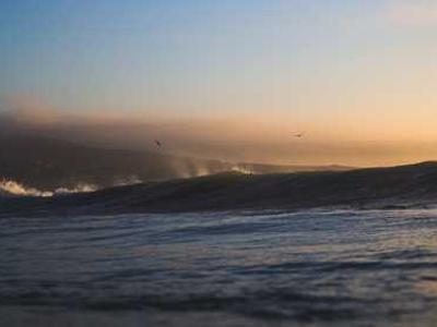 Gut bacteria can sense their environment and it’s key to your health