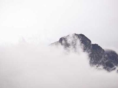 Europe’s “untouched” wilderness was shaped by Neanderthals and hunter-gatherers