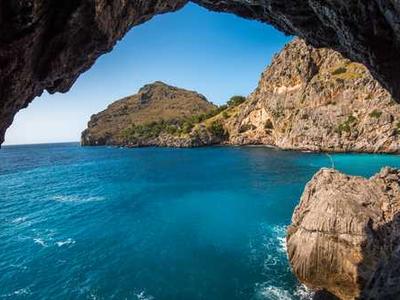 The Book That Infected Its Translator’s Body