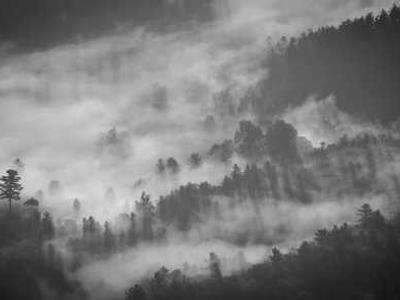 Behind-the-Scenes on How “Hamnet” Was Adapted from the Page to the Screen