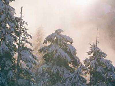 Some former employees blame xAI's staff exodus on xAI's focus on NSFW Grok and disregard for safety, constantly playing catch up to OpenAI, infighting, and more (Hayden Field/The Verge)