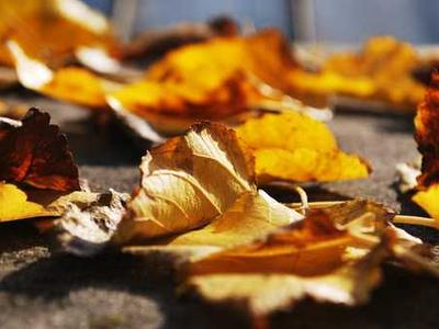 India partners with Alibaba.com to help Indian startups and small businesses reach overseas buyers, highlighting its selective engagement with Chinese platforms (Jagmeet Singh/TechCrunch)