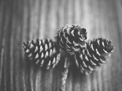 Anker’s USB-C cable that lets you charge two gadgets at once is 20 percent off