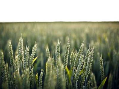 The Most Anticipated Queer Books for Spring 2026