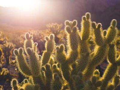 My uncanny AI valentines