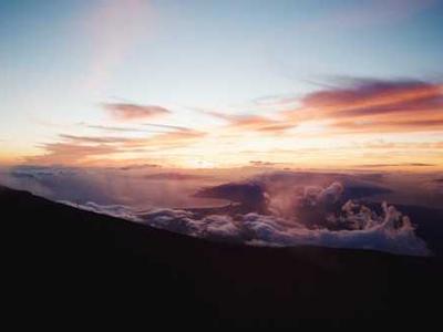 H5N1 bird flu kills more than 50 skuas in first Antarctica wildlife die off