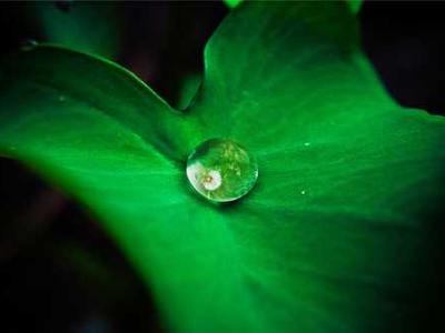 The Physics Behind the Quadruple Axel, the Most Difficult Jump in Figure Skating